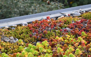 the cost of Amlwch Port green roof installation