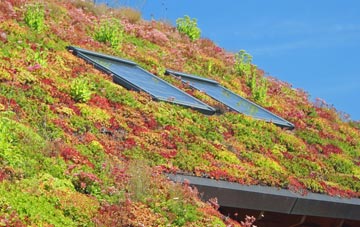 Amlwch Port living roof systems